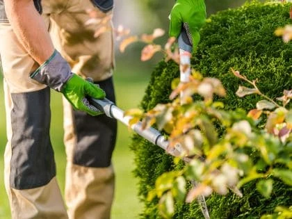 Landscaping & Grounds Maintenance